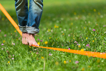 Image showing Slack line in the city park.