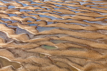 Image showing Estuary Detail