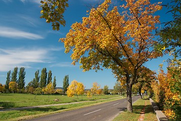 Image showing Autumn road