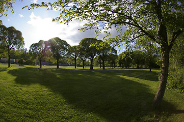 Image showing Park