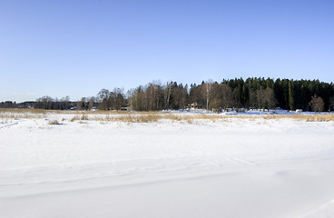 Image showing Snowy day