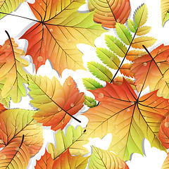 Image showing Colorful autumn seamless leaves isolated. EPS 10