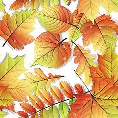 Image showing Colorful autumn seamless leaves isolated. EPS 10