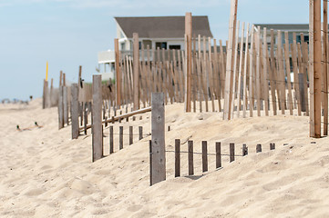 Image showing dunes fencing along outer banks of north carolina in cape hatter