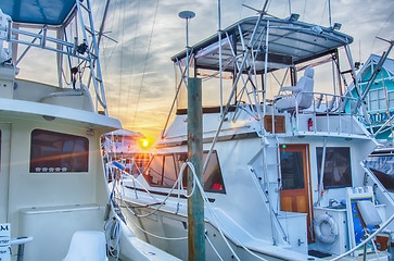 Image showing View of Sportfishing boats at Marina