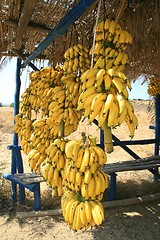 Image showing Banana clusters