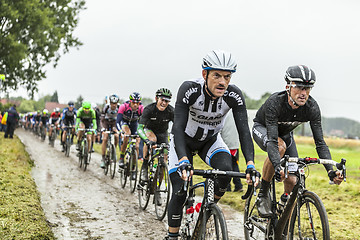 Image showing The Peloton on a Cobbled Road- Tour de France 2014