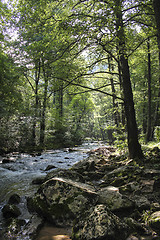 Image showing Mountain river