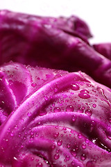 Image showing fresh purple cabbage