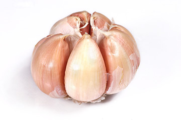 Image showing fresh garlic