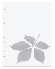 Image showing Notebook paper with virginia creeper leaf