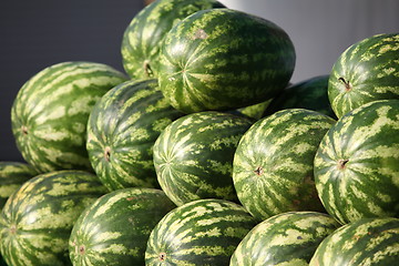 Image showing Striped watermelons