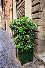 Image showing Old streets of Rome, Italy