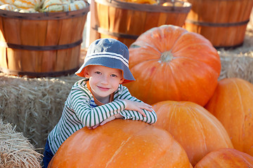 Image showing kid at pumpkin patch