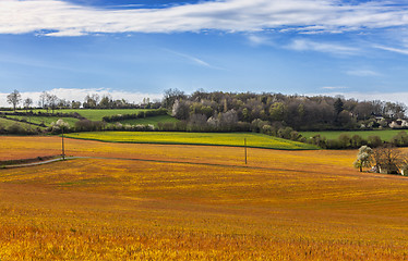 Image showing Landscape in the Perche Region of France