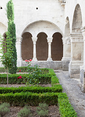 Image showing Old Abbey Garden