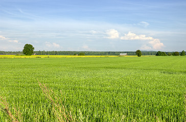 Image showing Countryside