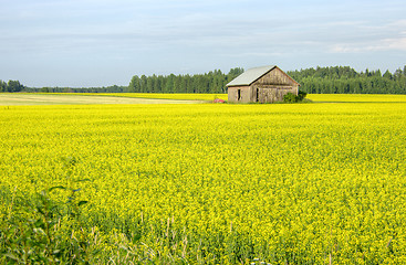 Image showing Countryside