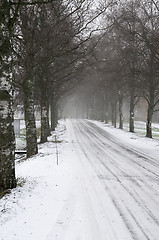 Image showing Winter road