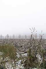 Image showing Foggy morning