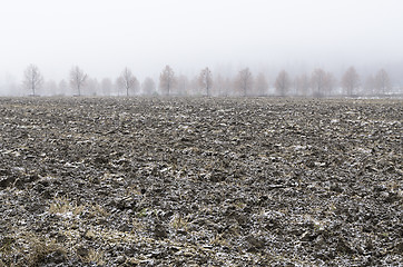 Image showing Icy field