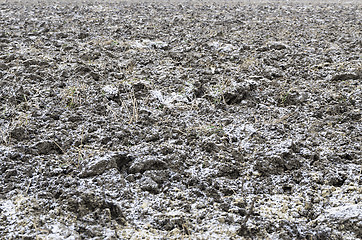 Image showing Icy field