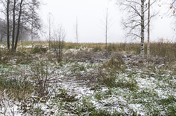 Image showing Foggy morning