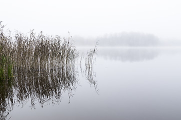 Image showing Foggy morning