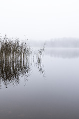 Image showing Foggy morning