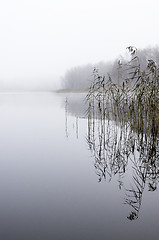 Image showing Foggy morning