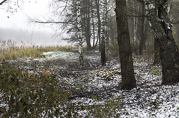 Image showing Foggy morning