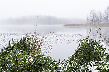 Image showing Foggy morning