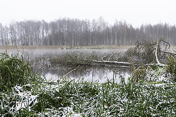 Image showing Foggy morning