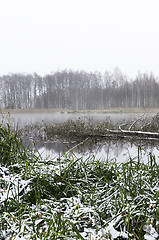 Image showing Foggy morning