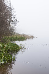 Image showing Foggy