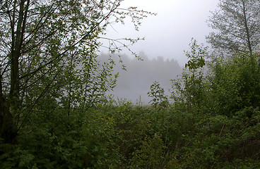 Image showing Foggy morning