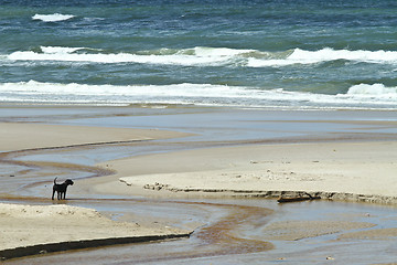 Image showing People at at the beach in Denmark