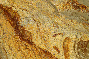 Image showing Details in the sand at the beach in Denmark