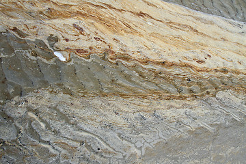 Image showing Details in the sand at the beach in Denmark