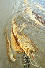 Image showing Details in the sand at the beach in Denmark