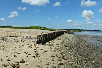 Image showing At the beach in Denmark