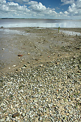 Image showing At the beach in Denmark