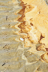 Image showing Details in the sand at the beach in Denmark