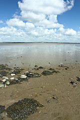 Image showing At the beach in Denmark