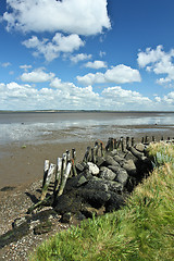 Image showing At the beach in Denmark