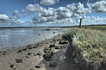 Image showing At the beach in Denmark