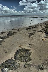 Image showing At the beach in Denmark