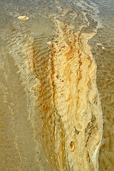 Image showing Details in the sand at the beach in Denmark