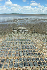 Image showing At the beach in Denmark