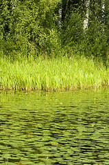 Image showing Green lake